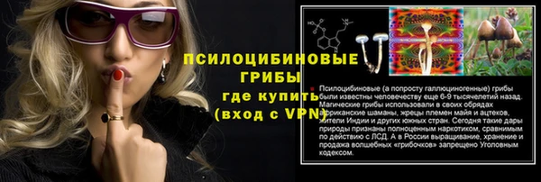 амф Алексеевка