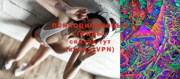 дурь Губаха