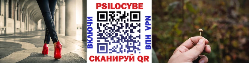 Псилоцибиновые грибы Magic Shrooms  сайты даркнета наркотические препараты  Катайск  мега зеркало 